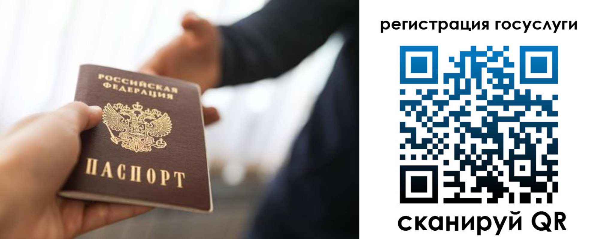 временная регистрация поиск в Анапе